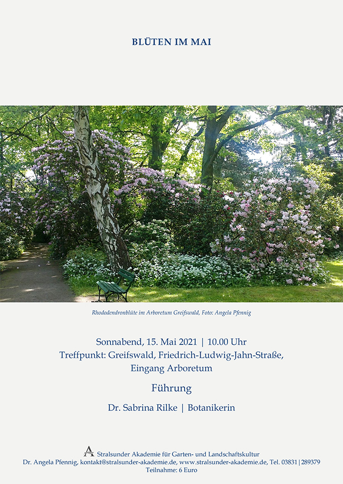 Blüten im Mai im Arboretum Greifswald