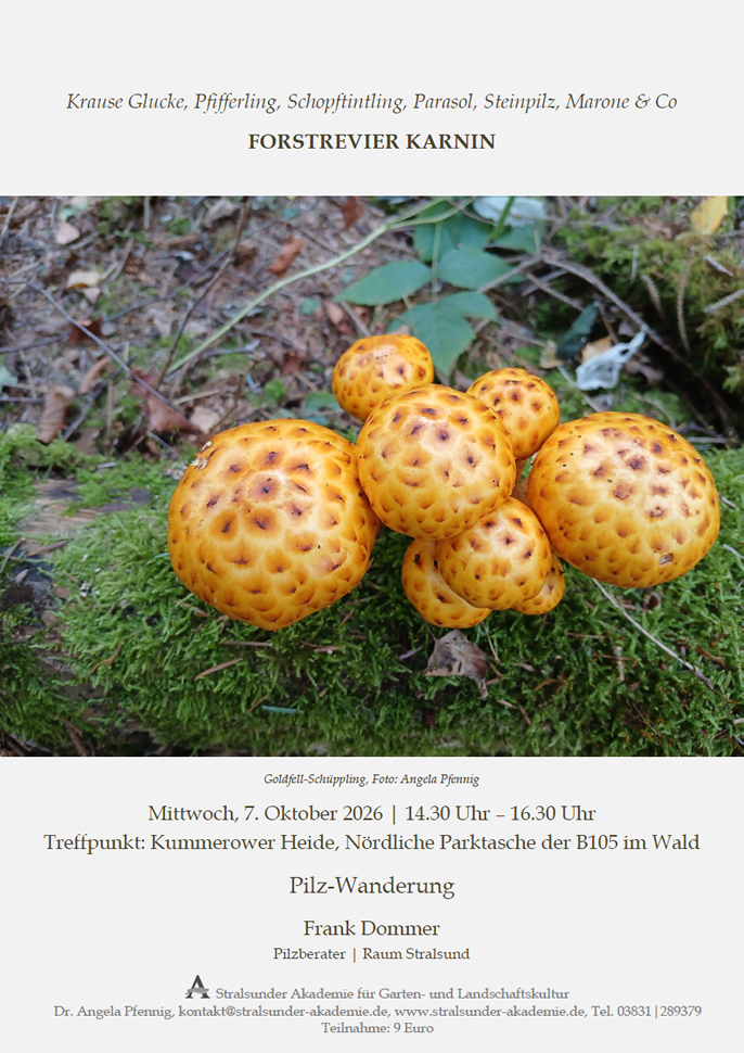 Pilz-Wanderung Forstrevier Karnin