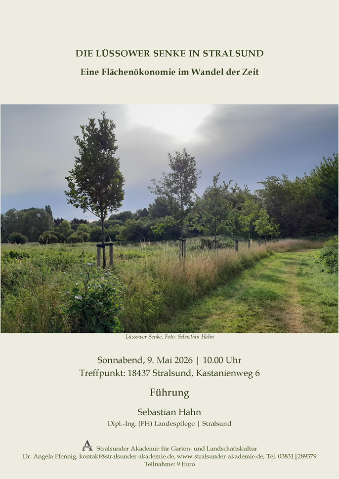 Die Lüssower Senke in Stralsund