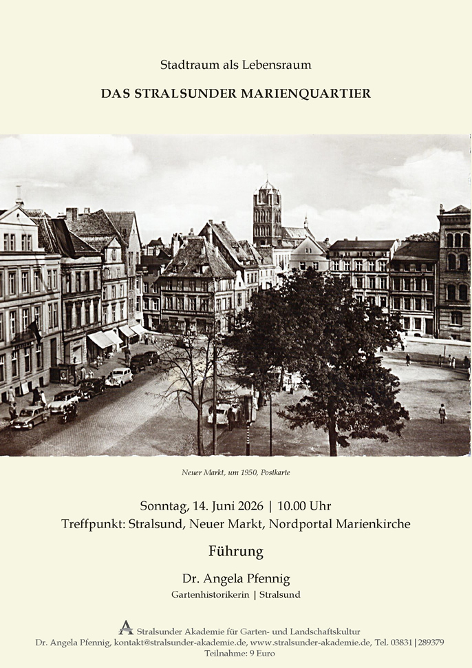 Das Stralsunder Marienquartier