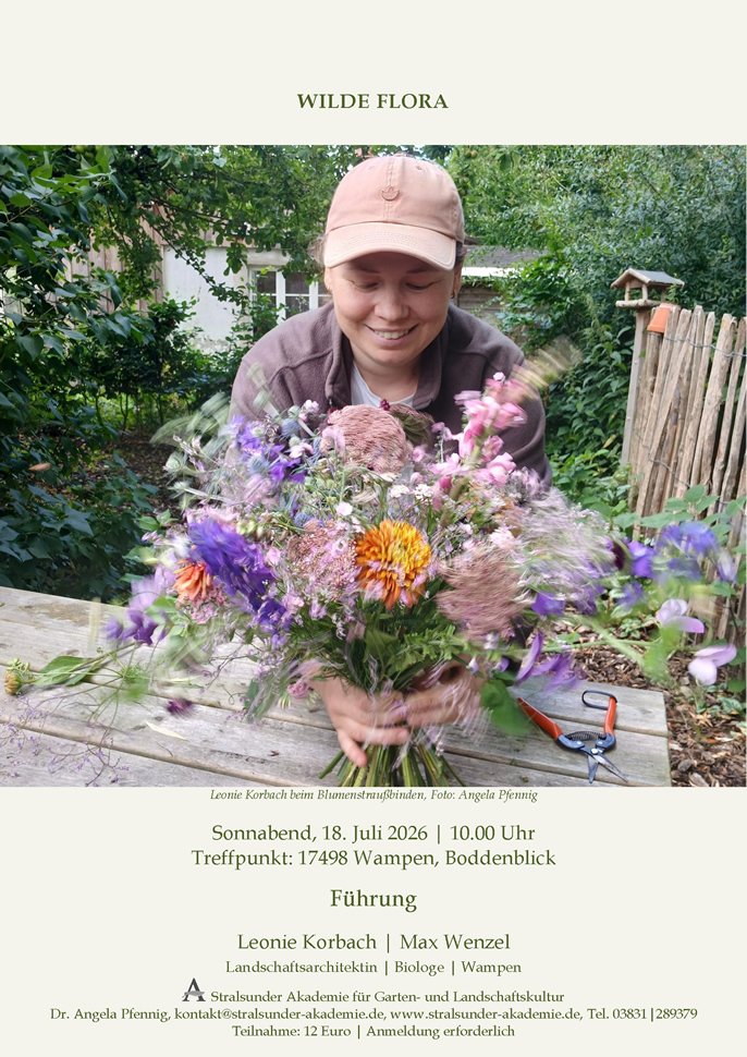 Wilde Flora in 17498 Wampen