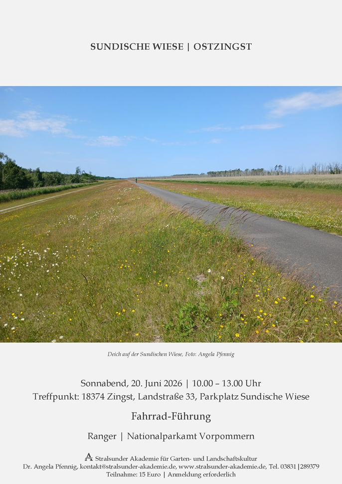 Sundische Wiese | Ostzingst