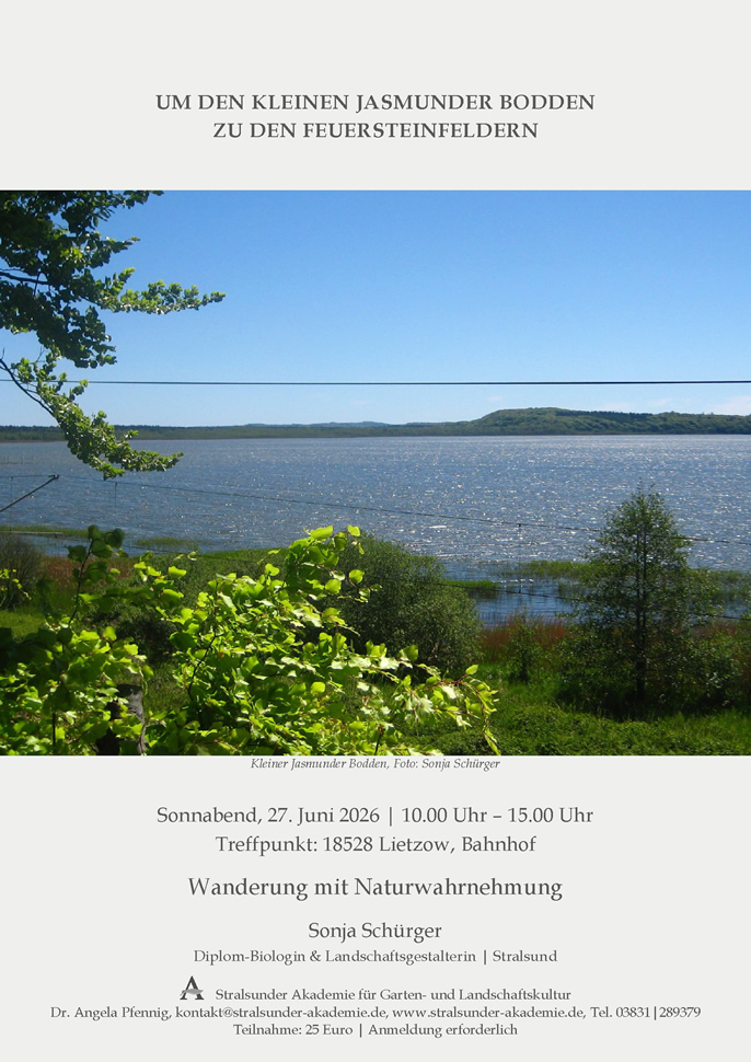 Um den kleinen Jasmunder Bodden zu den Feuersteinfeldern