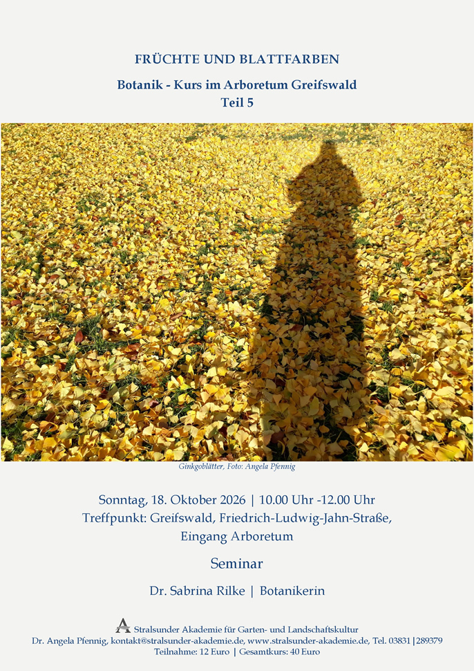 Botanik-Kurs im Arboretum Greifswald