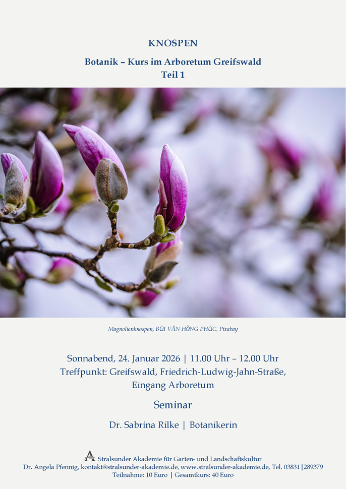 Botanik-Kurs im Arboretum Greifswald