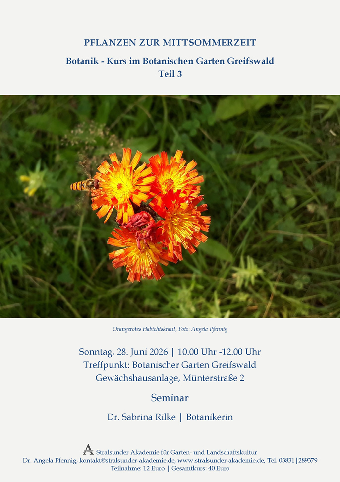 Botanik-Kurs im Arboretum Greifswald