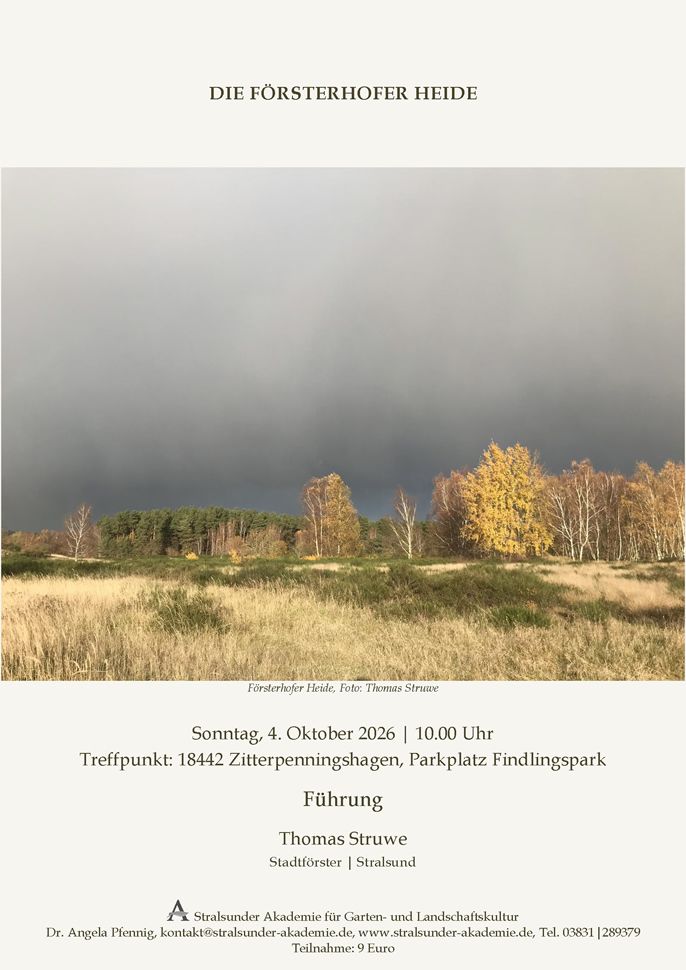 Sonntag, 4. Oktober 2026