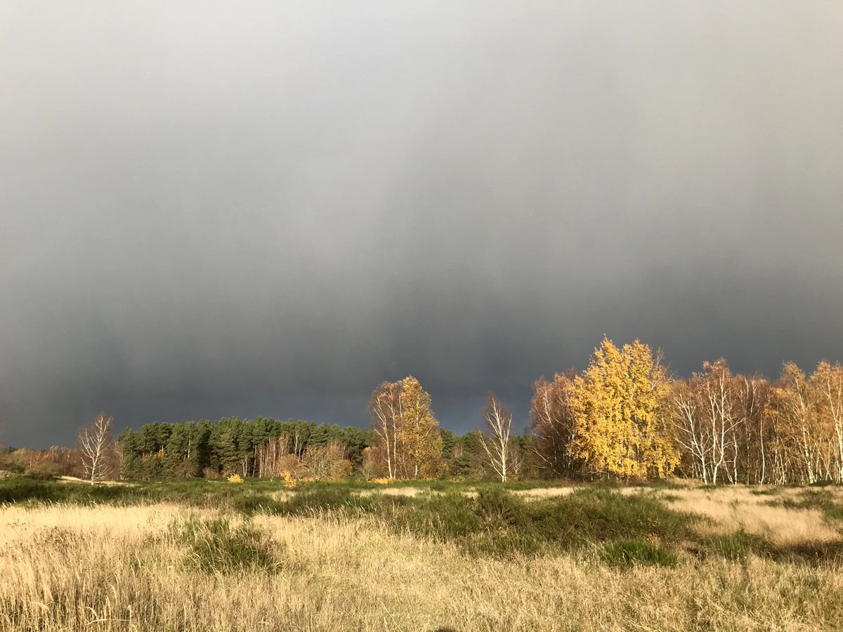 Sonntag, 4. Oktober 2026