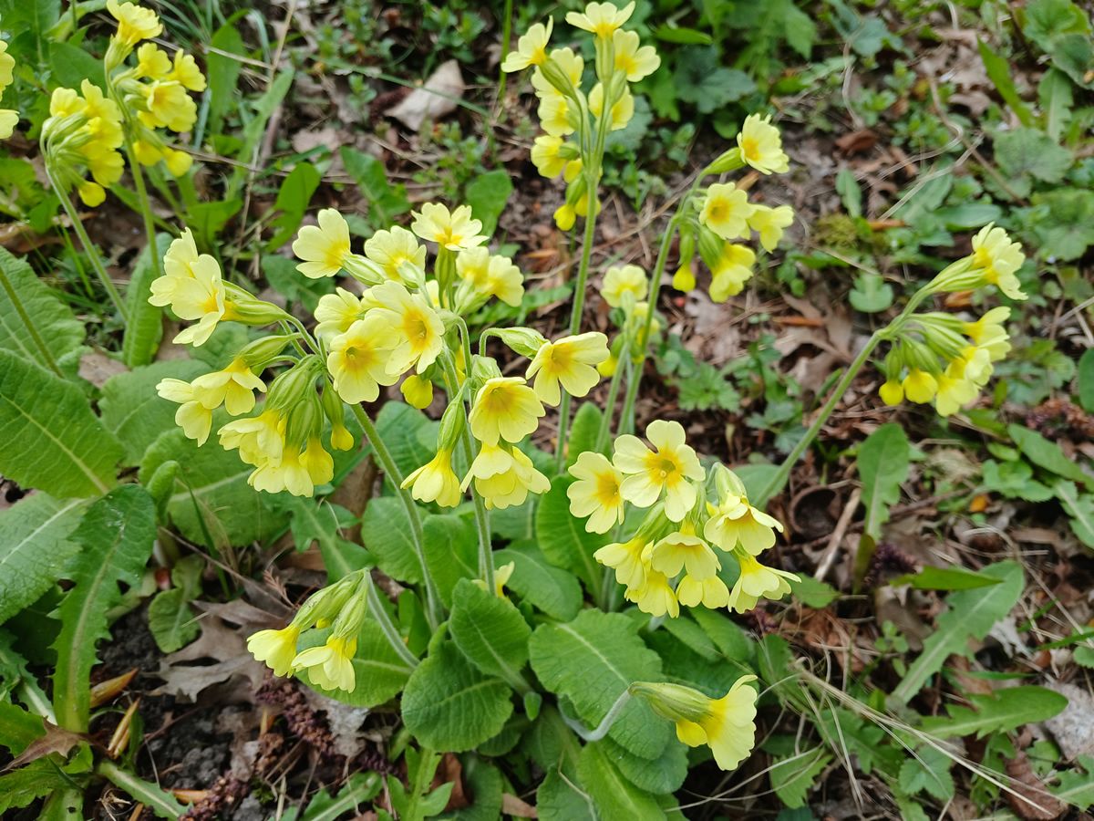 Sonntag, 19. April 2026