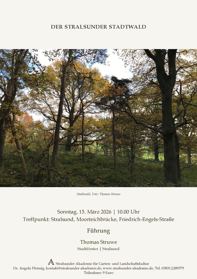 Sonntag, 15. März 2026