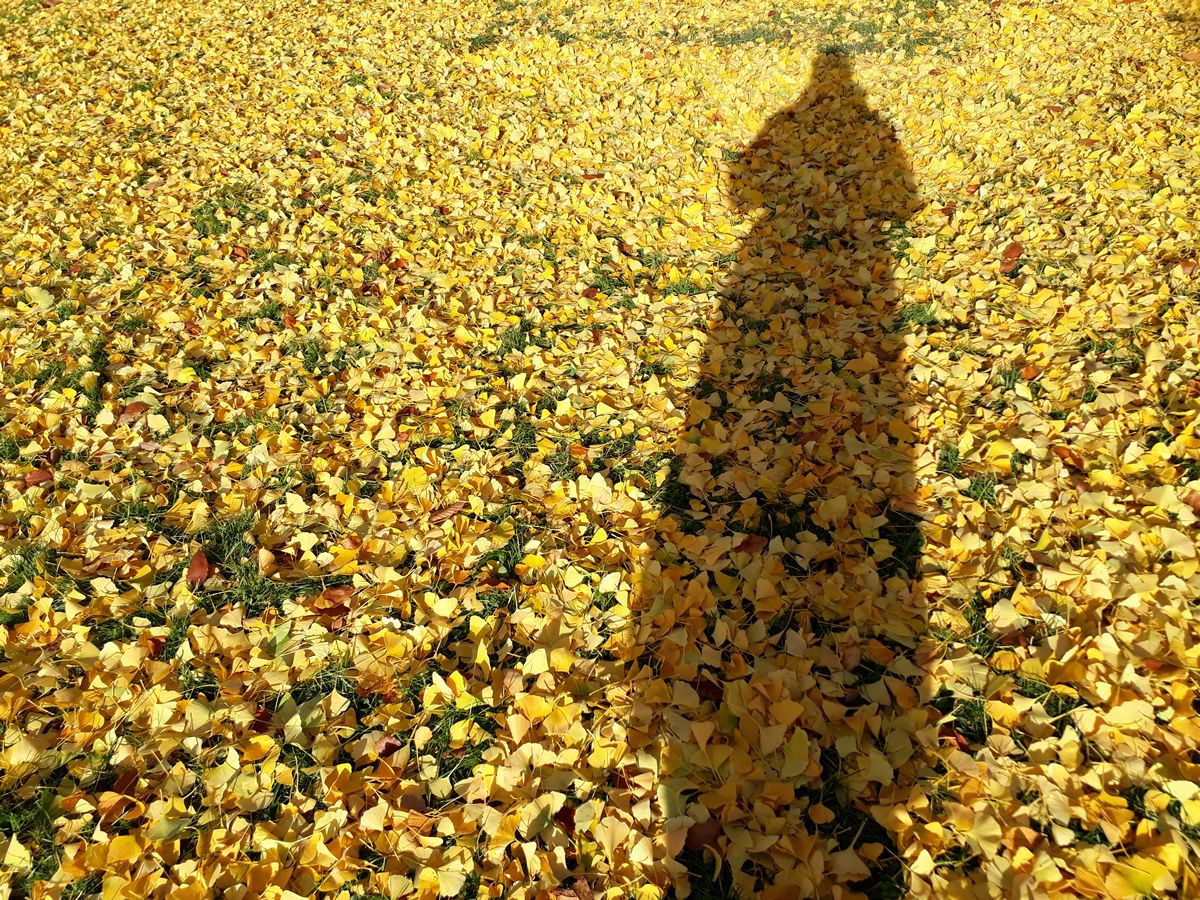 Sonntag, 18. Oktober 2026