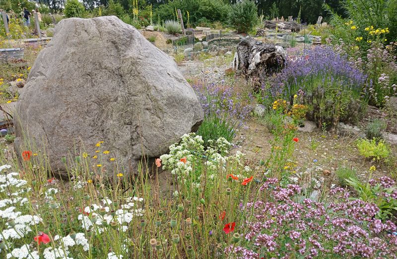 Seminare - Privatgarten in Gustow