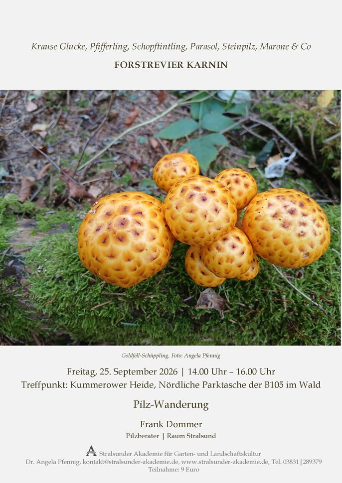 Freitag, 25. September 2026