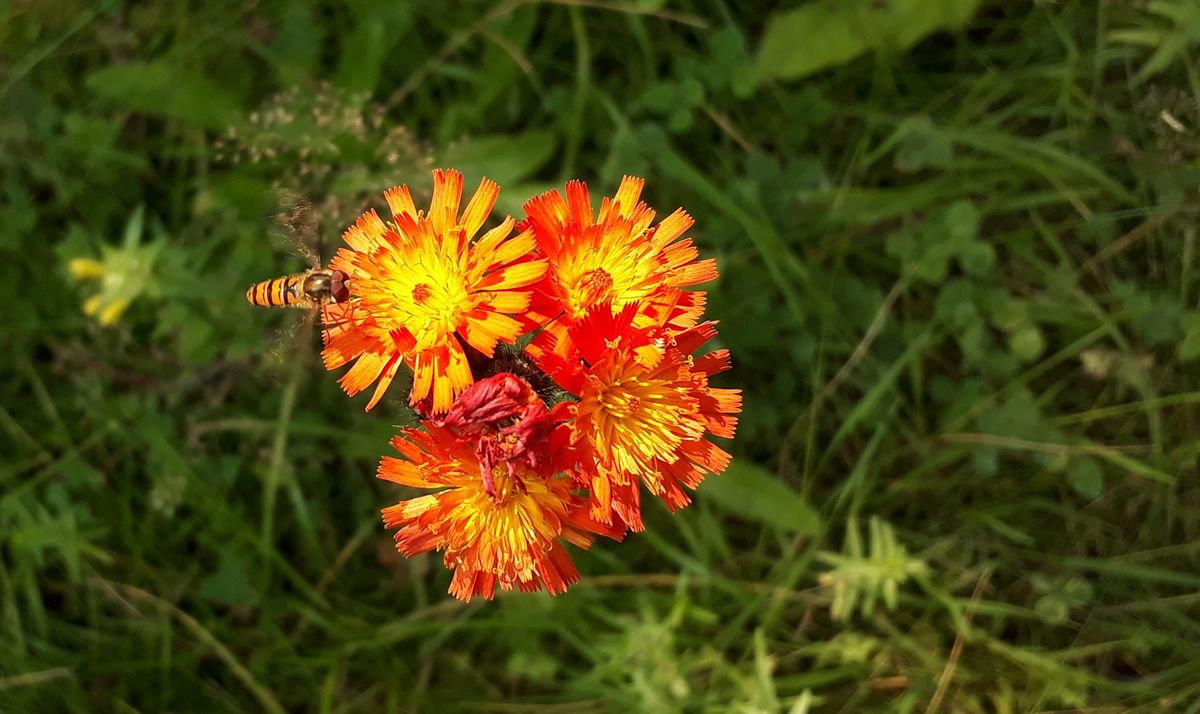 Sonntag, 28. Juni 2026