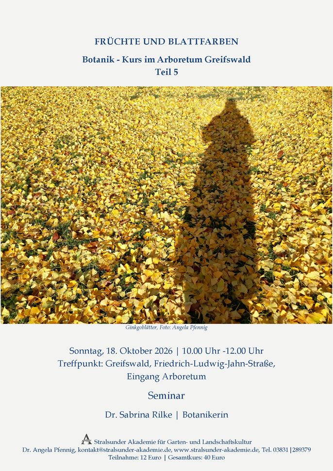 Sonntag, 18. Oktober 2026