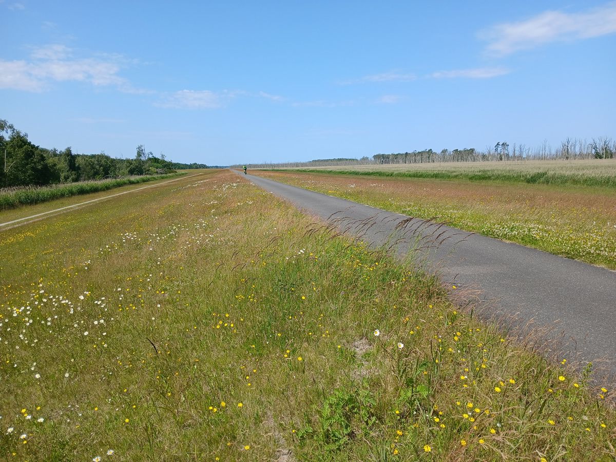 Sonnabend, 20. Juni 2026