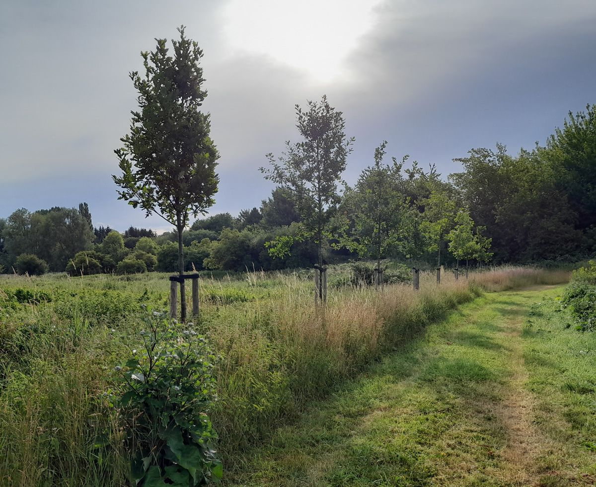 Sonnabend, 9. Mai 2026