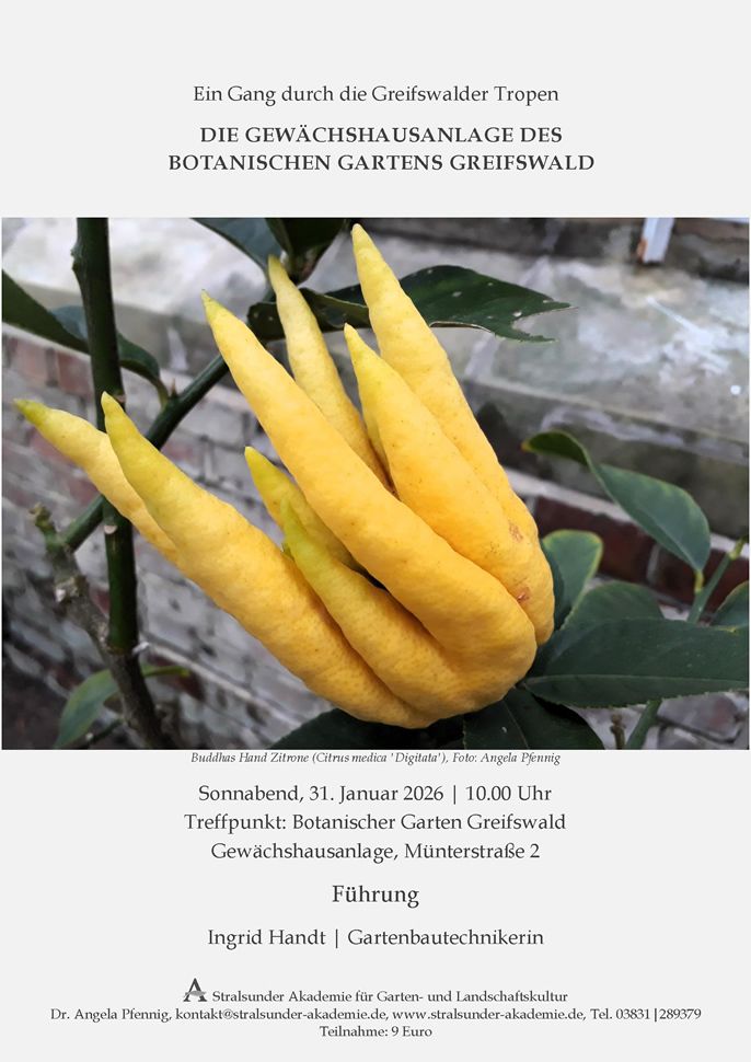 Sonnabend, 31. Januar 2026