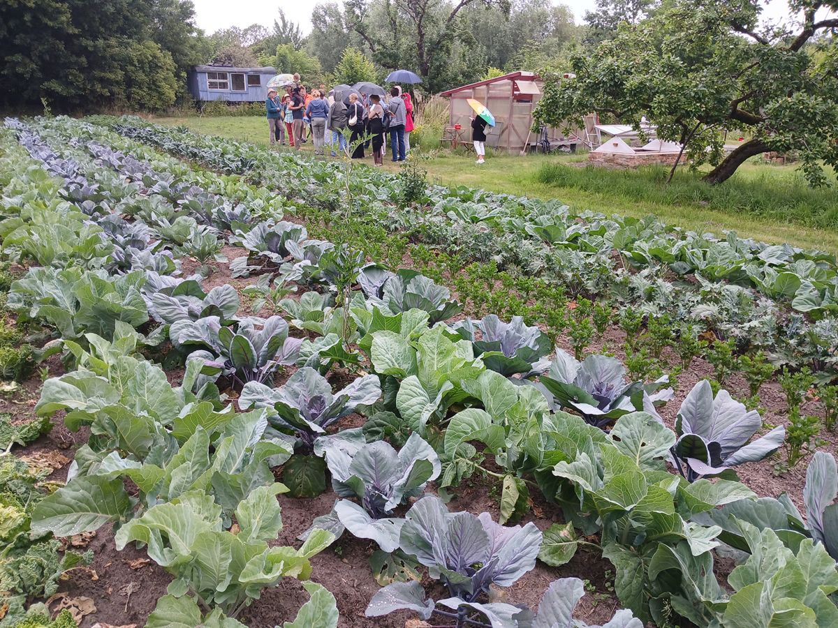 Sonntag, 5. Juli 2026